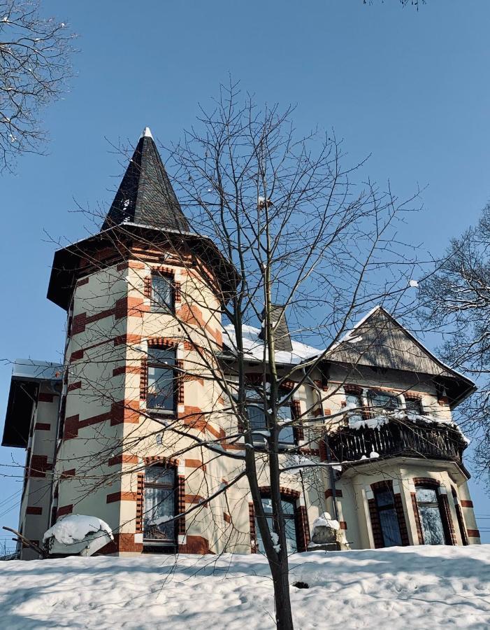 Turmvilla Vogtland Oelsnitz  Exterior photo